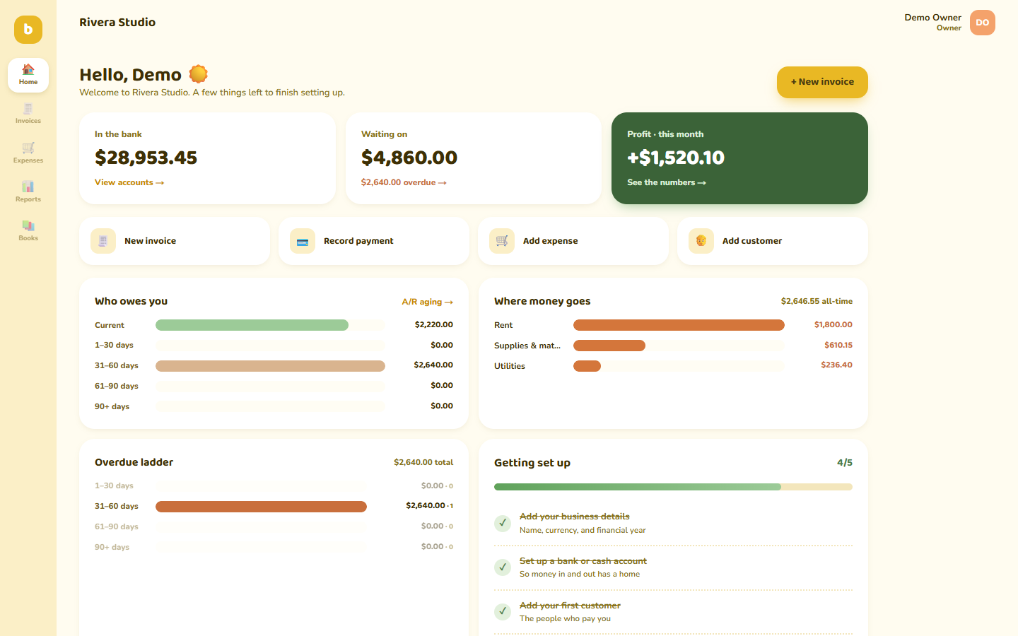Beginner-friendly ledger — live demo